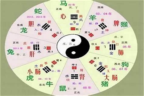 莉五行|莉字的五行属性是什么